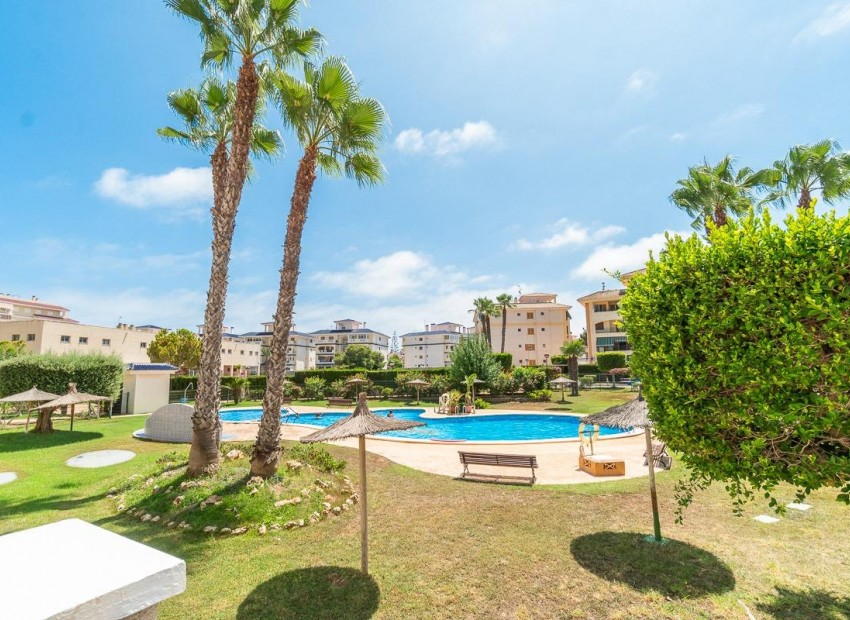 Alquiler a largo plazo - Flat -
Torrevieja - La Mata
