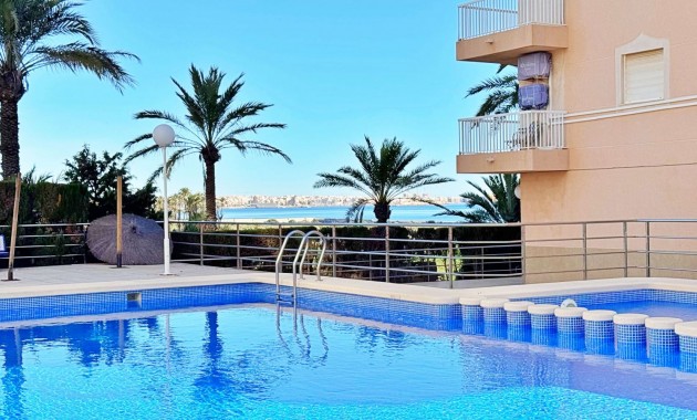 Apartamento - Venta - Torrevieja -
                Rocio del mar