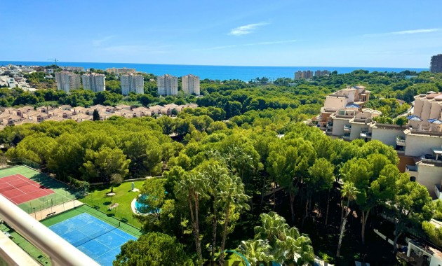 Apartment - Sale - Orihuela Costa - Campoamor