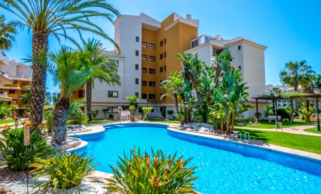 Apartment - Sale - Punta Prima -
                Punta Prima