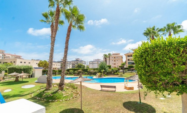 Flat - Alquiler a largo plazo - Torrevieja -
                La Mata