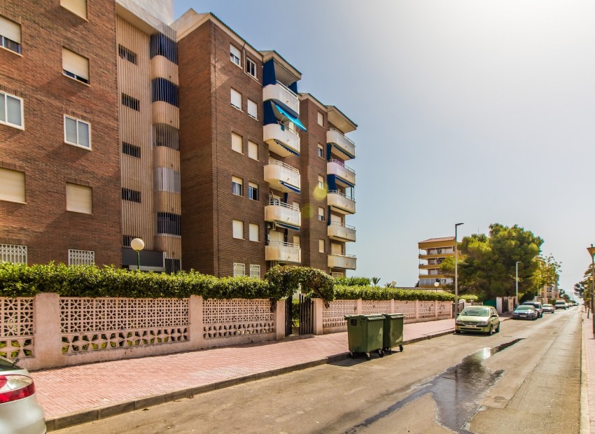 Long time Rental - Apartment -
Torrevieja - Punta prima