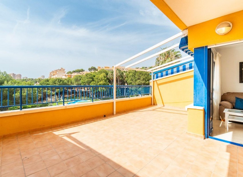 Long time Rental - Flat -
Orihuela Costa - Altos de Campoamor