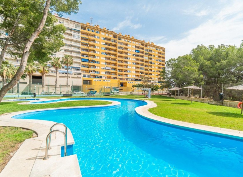 Long time Rental - Flat -
Orihuela Costa - Altos de Campoamor