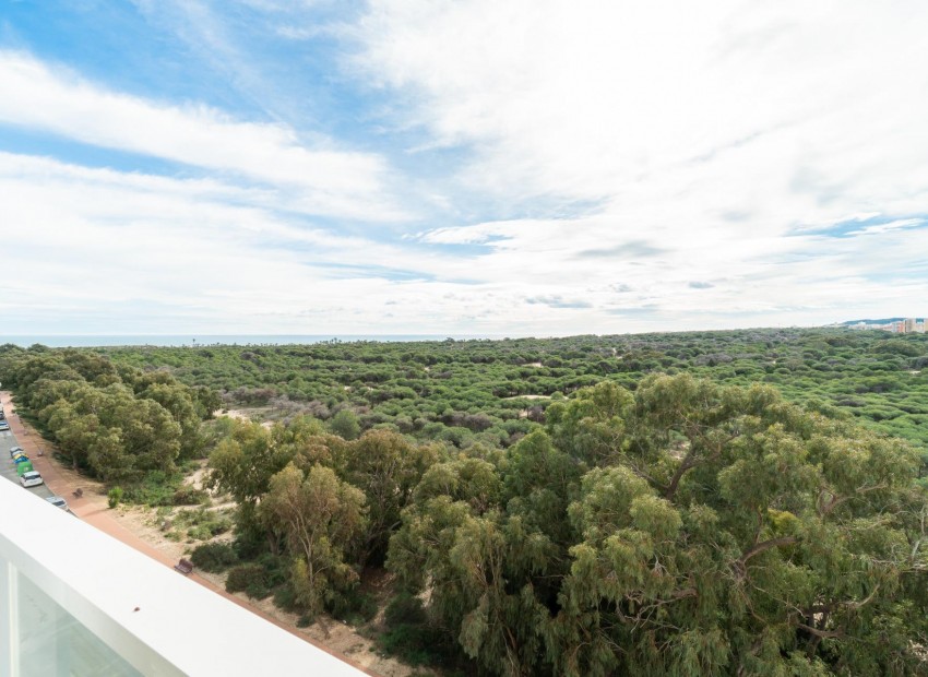 Resale - Wohnung -
Guardamar del Segura - Puerto Deportivo