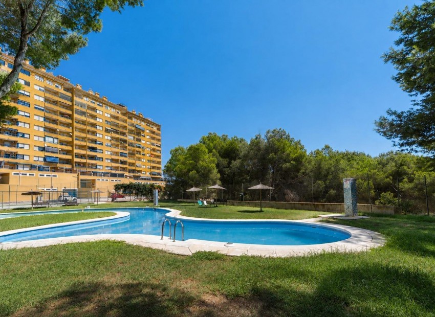 Resale - Wohnung -
Orihuela Costa - Altos de Campoamor