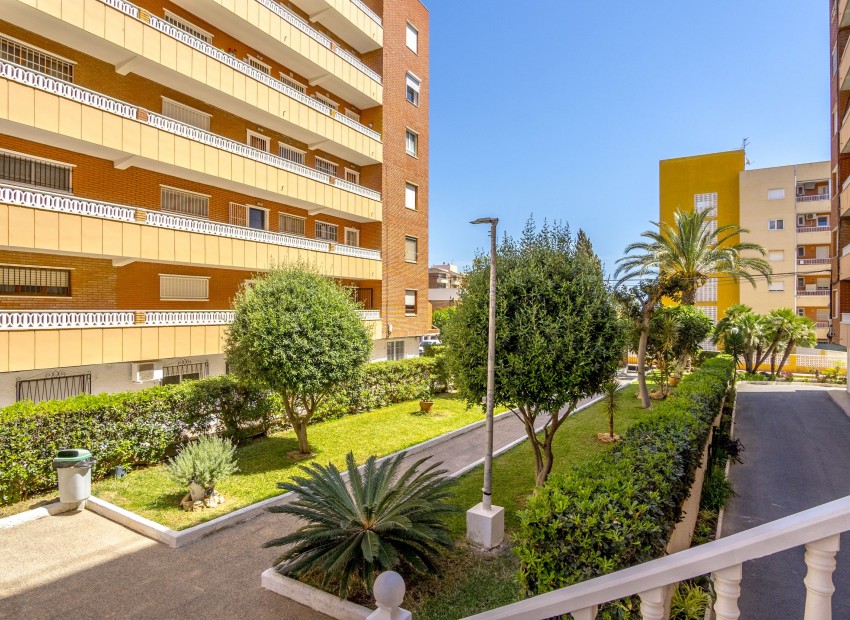 Sale - Apartment -
Punta Prima