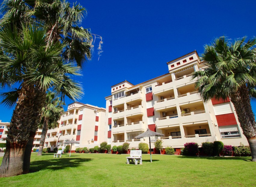 Venta - Apartamento -
Playa Flamenca