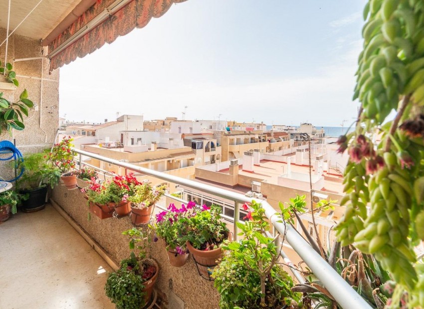 Venta - Apartamento -
Torrevieja - Curva del Palangre