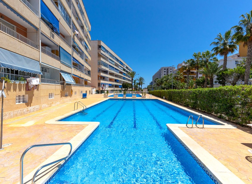 Venta - Apartamento -
Torrevieja - Rocio del mar