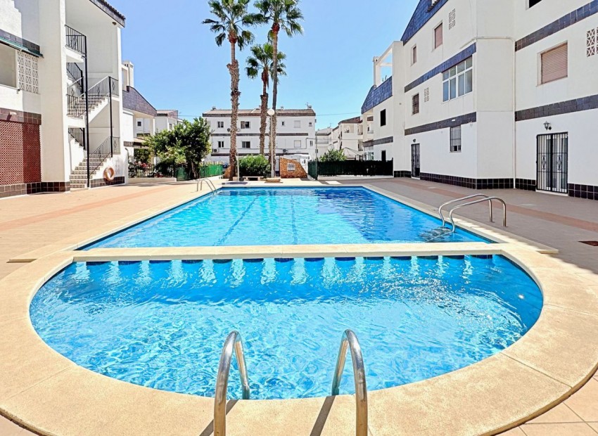 Venta - Apartamento -
Torrevieja - Rocio del mar