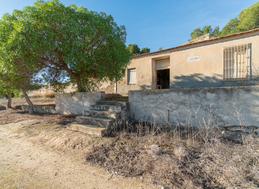 Venta - Country house -
Pilar de la Horadada - Pinar de la Perdiz