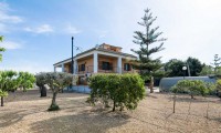 Villa - Sale -
            Rafal - 1870
