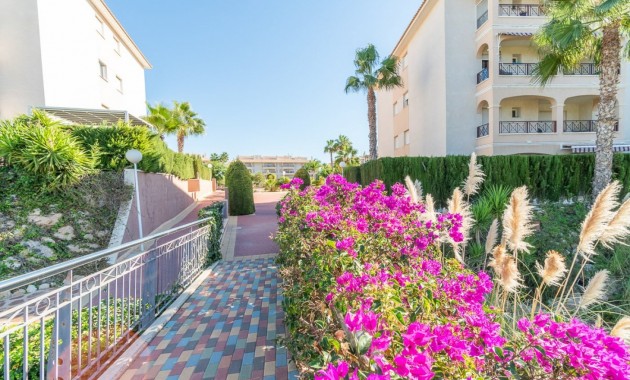 Venta - Ground Floor -
Orihuela Costa - Playa Flamenca