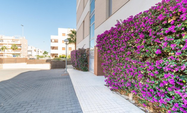 Venta - Apartamento -
Orihuela Costa - Los Dolses