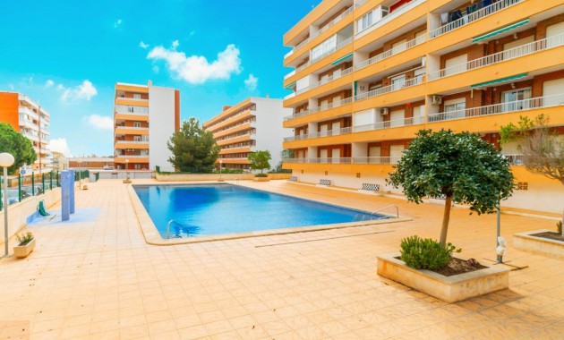 Sale - Apartment -
Torrevieja - Rocio del mar