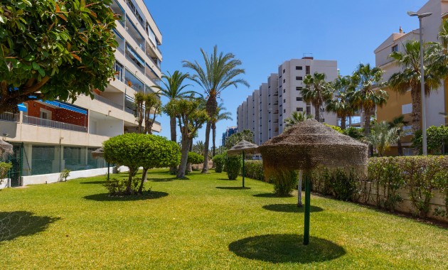 Resale - Wohnung -
Torrevieja - Rocio del mar