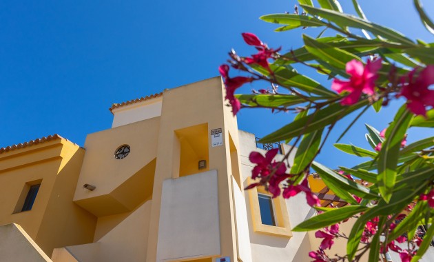 Venta - Apartamento -
Torrevieja - Los altos