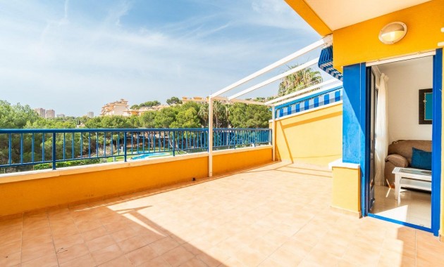 Long time Rental - Flat -
Orihuela Costa - Altos de Campoamor