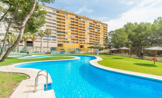 Long time Rental - Flat -
Orihuela Costa - Altos de Campoamor