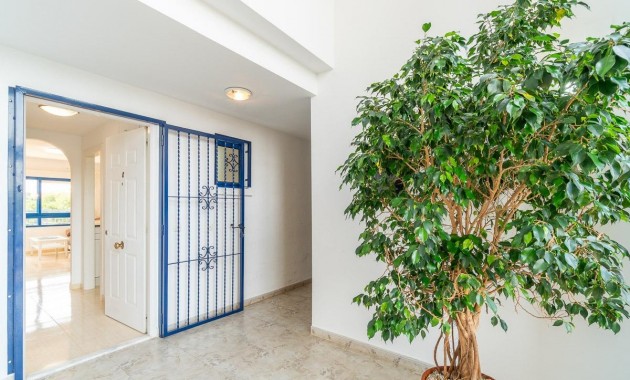 Long time Rental - Flat -
Orihuela Costa - Altos de Campoamor