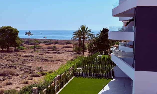 Long time Rental - Apartment -
Torrevieja - Punta prima