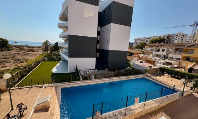 Long time Rental - Apartment -
Torrevieja - Punta prima