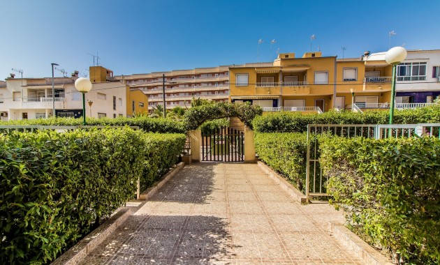 Long time Rental - Apartment -
Torrevieja - Punta prima