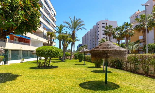 Resale - Wohnung -
Torrevieja - Rocio del mar