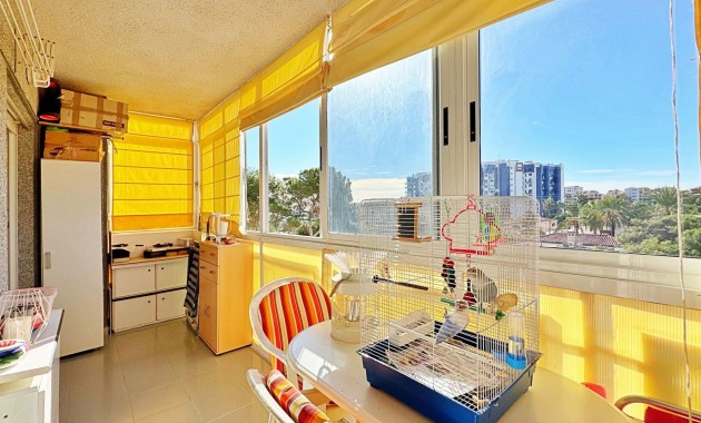 Venta - Apartamento -
Torrevieja - Rocio del mar