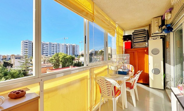 Venta - Apartamento -
Torrevieja - Rocio del mar