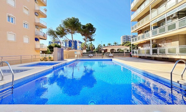 Venta - Apartamento -
Torrevieja - Rocio del mar