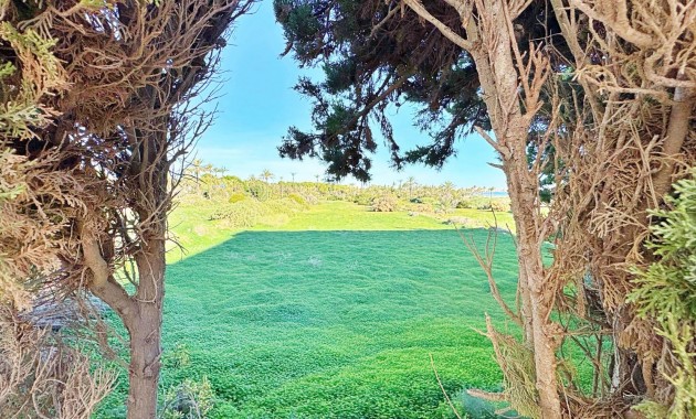 Venta - Apartamento -
Torrevieja - Rocio del mar