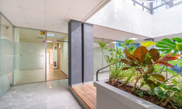 Alquiler a largo plazo - Commercial Unit -
Orihuela Costa - Playa Flamenca