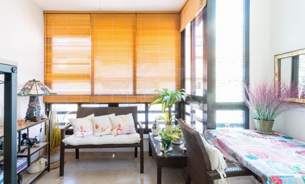 Venta - Apartamento -
Torrevieja - Centro