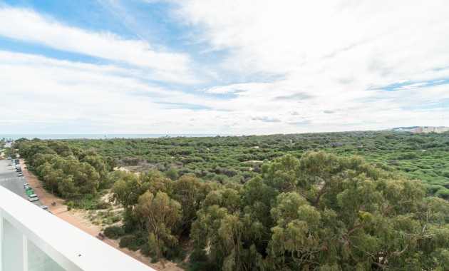 Resale - Wohnung -
Guardamar del Segura - Puerto Deportivo