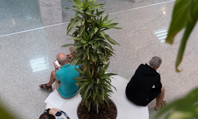 Alquiler a largo plazo - Commercial Unit -
Orihuela Costa - Playa Flamenca