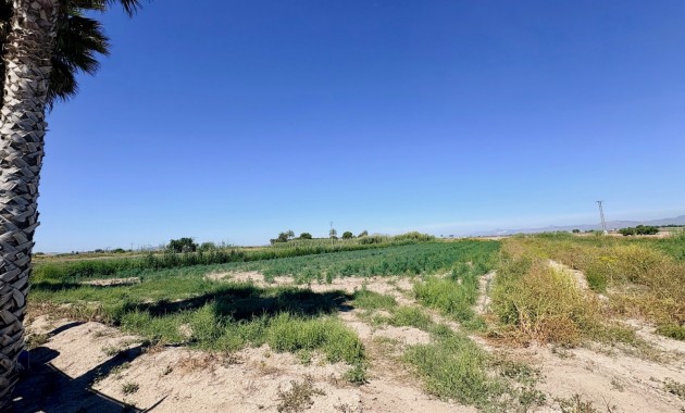 Resale - Country house -
San Fulgencio - La Marina