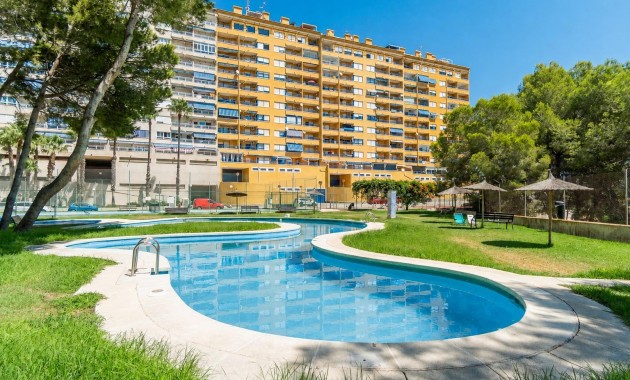 Resale - Wohnung -
Orihuela Costa - Altos de Campoamor