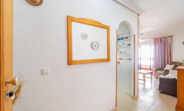 Alquiler a largo plazo - Flat -
Torrevieja - La Mata