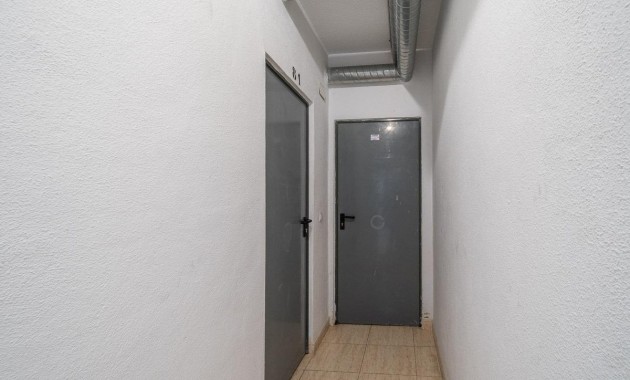 Alquiler a largo plazo - Flat -
Torrevieja - La Mata