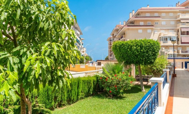 Alquiler a largo plazo - Flat -
Torrevieja - La Mata
