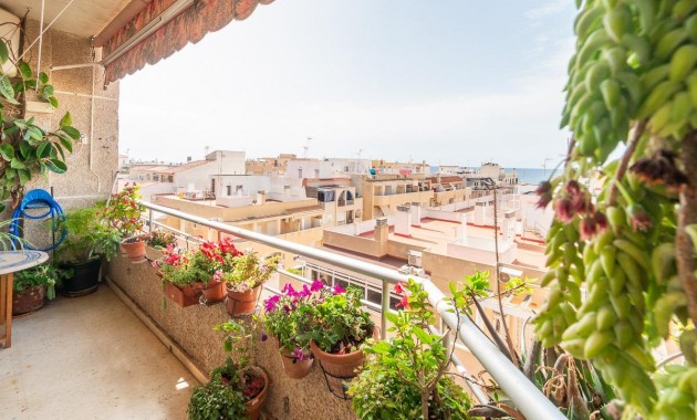 Venta - Apartamento -
Torrevieja - Curva del Palangre