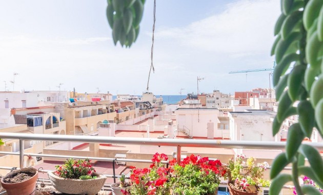 Venta - Apartamento -
Torrevieja - Curva del Palangre