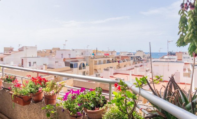 Venta - Apartamento -
Torrevieja - Curva del Palangre
