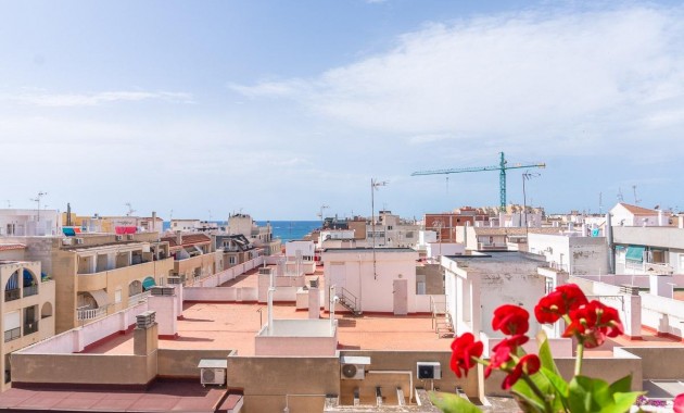 Venta - Apartamento -
Torrevieja - Curva del Palangre