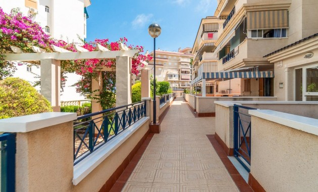 Alquiler a largo plazo - Flat -
Torrevieja - La Mata