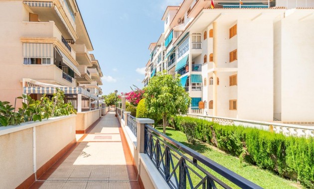 Alquiler a largo plazo - Flat -
Torrevieja - La Mata