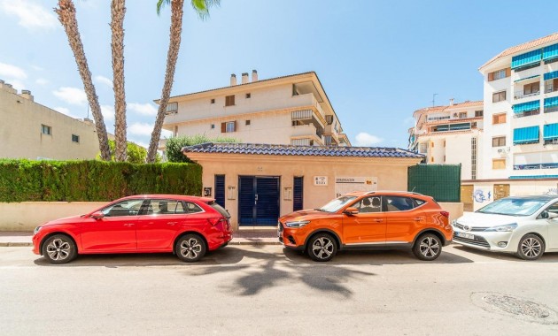 Alquiler a largo plazo - Flat -
Torrevieja - La Mata